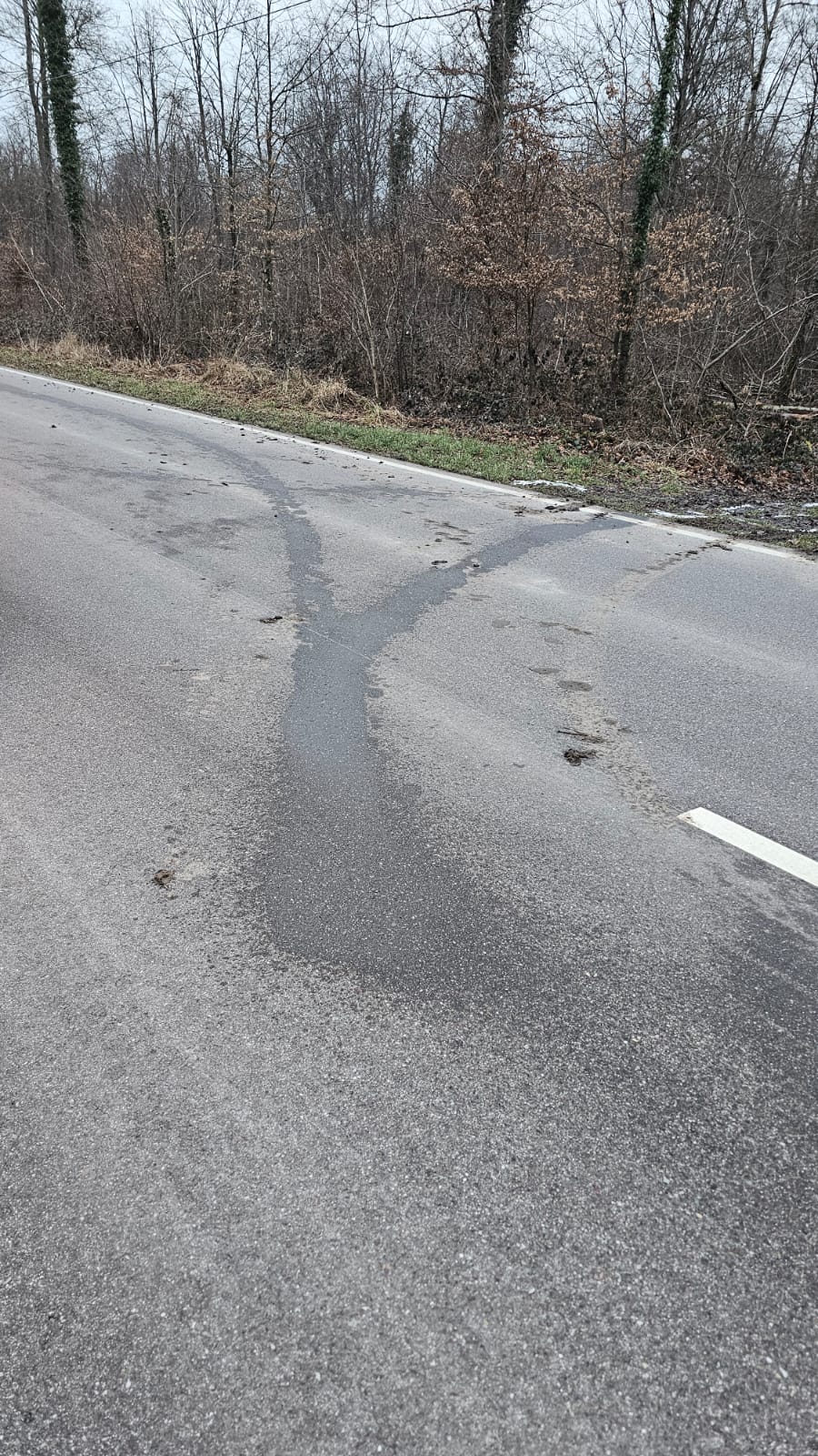 +++ Einsatz Ölspur +++